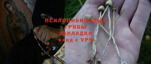 Альфа ПВП Богородск