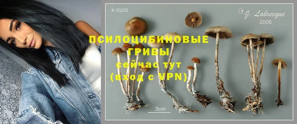 кристаллы Богданович